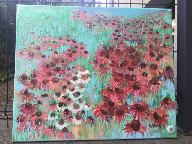 Jeżówka u sąsiadów